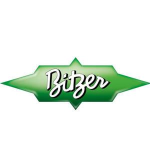 Bitzer BSE32 POE Oil (5L)