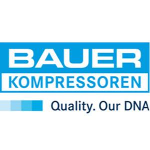 BAUER COMPRESSOR OIL N22138 (1L)