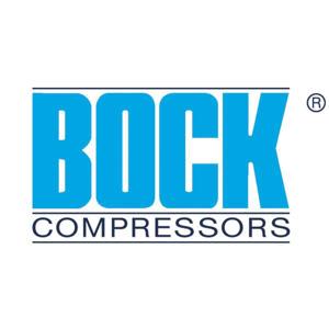 BOCK SAFETY SCREW M12X30 TENSILOCK GALV. AND BLUE PASSIVATED
